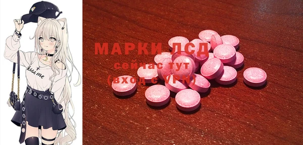 PSILOCYBIN Абаза