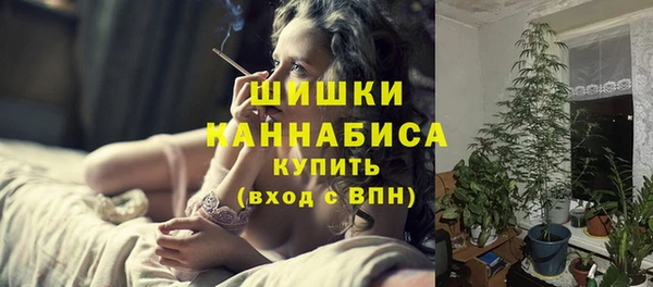 PSILOCYBIN Абаза