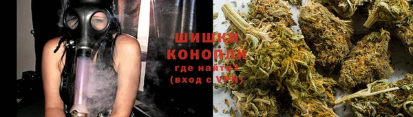PSILOCYBIN Абаза