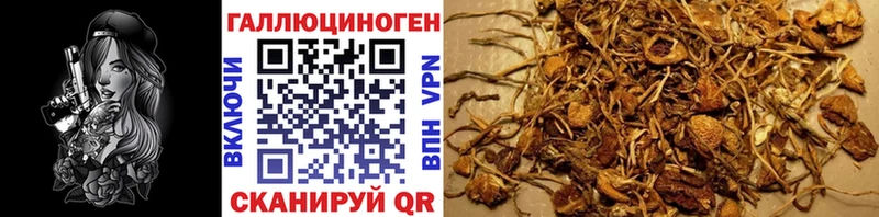 Галлюциногенные грибы Magic Shrooms даркнет сайт Тетюши